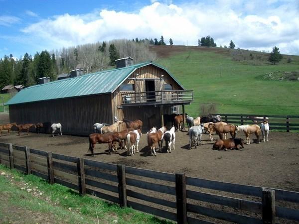 ホテルBull Hill Guest Ranch Marble エクステリア 写真